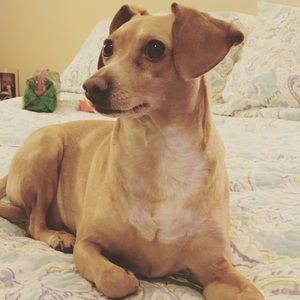 Meet your Posher, Mabel